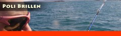 Poli Brillen