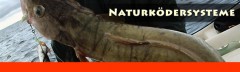 Naturködersysteme