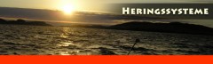 Heringssysteme