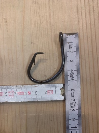 Heilbutt Circle Hooks
