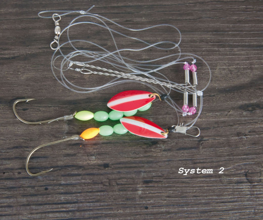 Aquantic Plattfisch Systeme