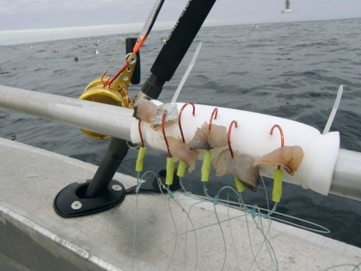 Eisele Rotbarschsysteme