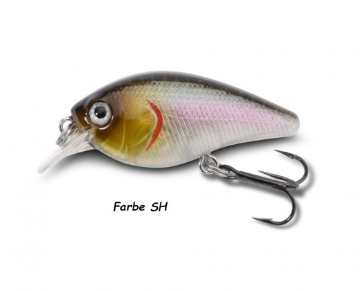 Doiyo Kobito 32