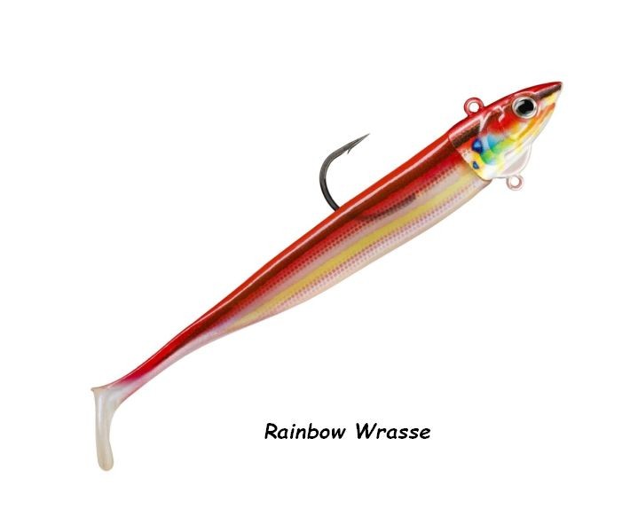 Soft Plastics bass fishing Storm 360 GT Coastal Biscay ...